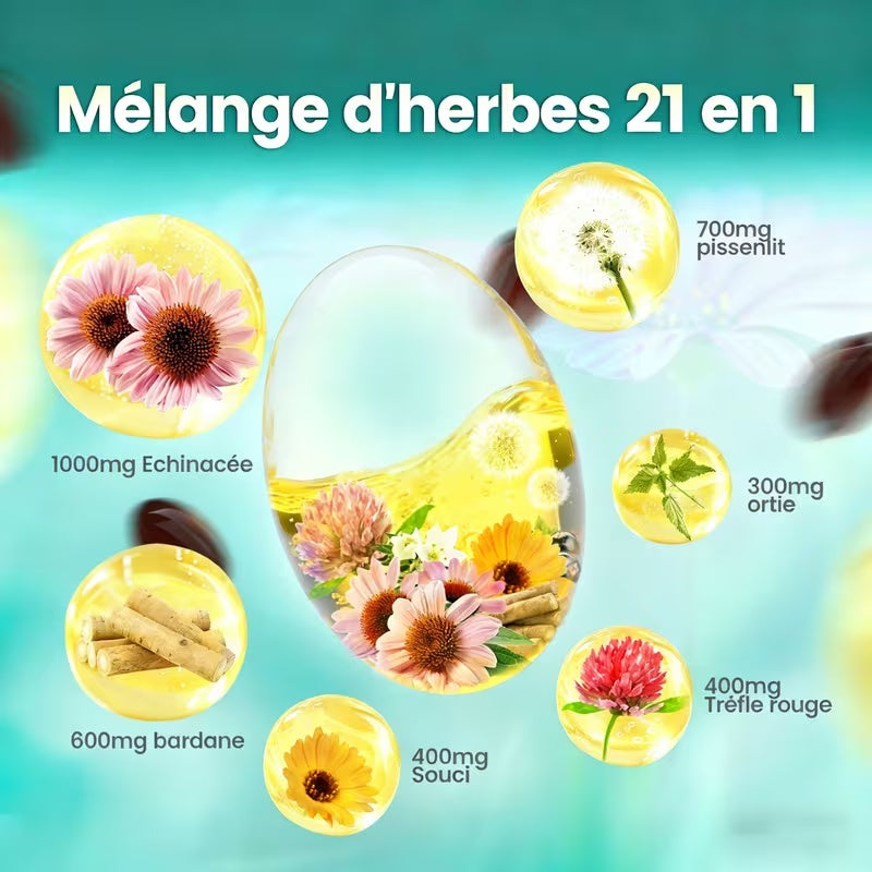 Mélange d’herbes 21 en 1 avec échinacée, pissenlit, ortie et trèfle rouge